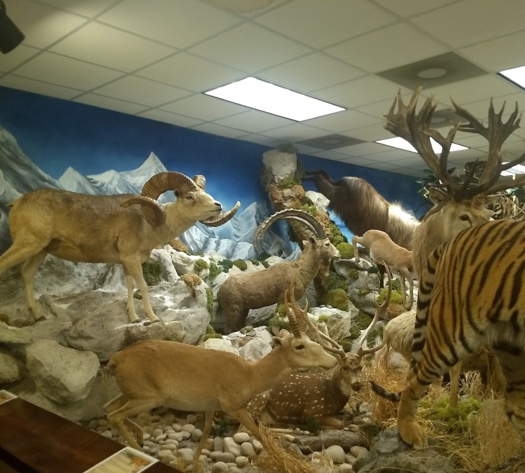 Harber Wildlife Museum (Sherman,&nbspTX)